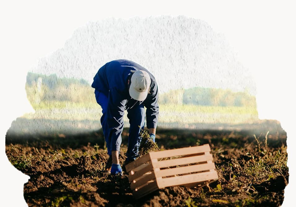 Podpora lokalnemu gospodarstvu in vzdrževanje delovnih mest na podeželju.