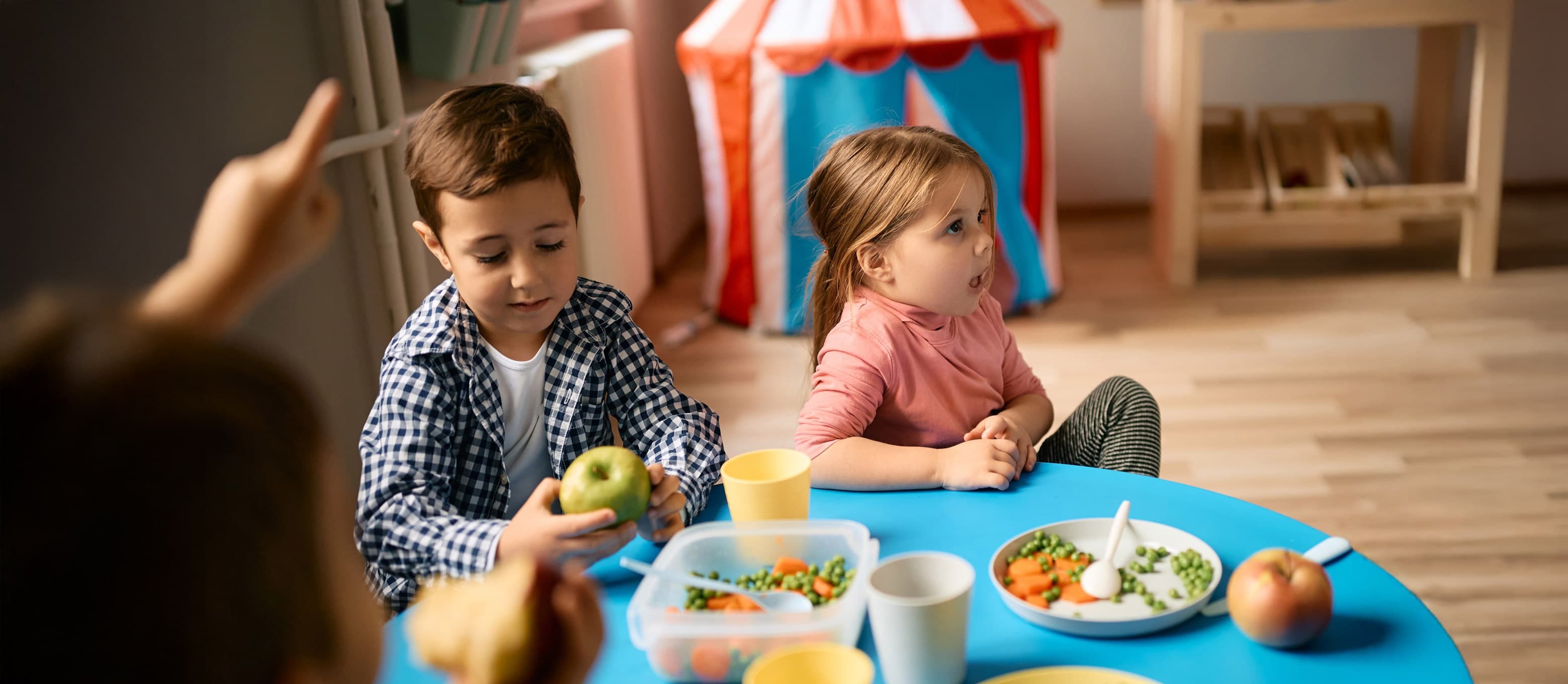 Bolj zdravi in sveži obroki za otroke, starejše in paciente.